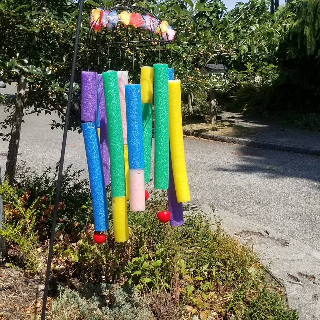 Pool Noodles