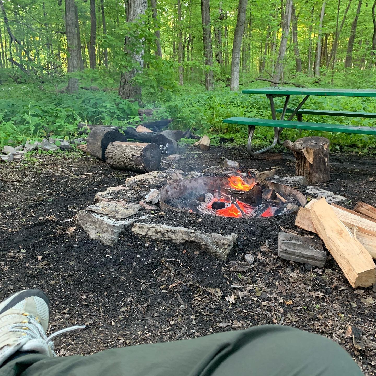 campfire after cooking