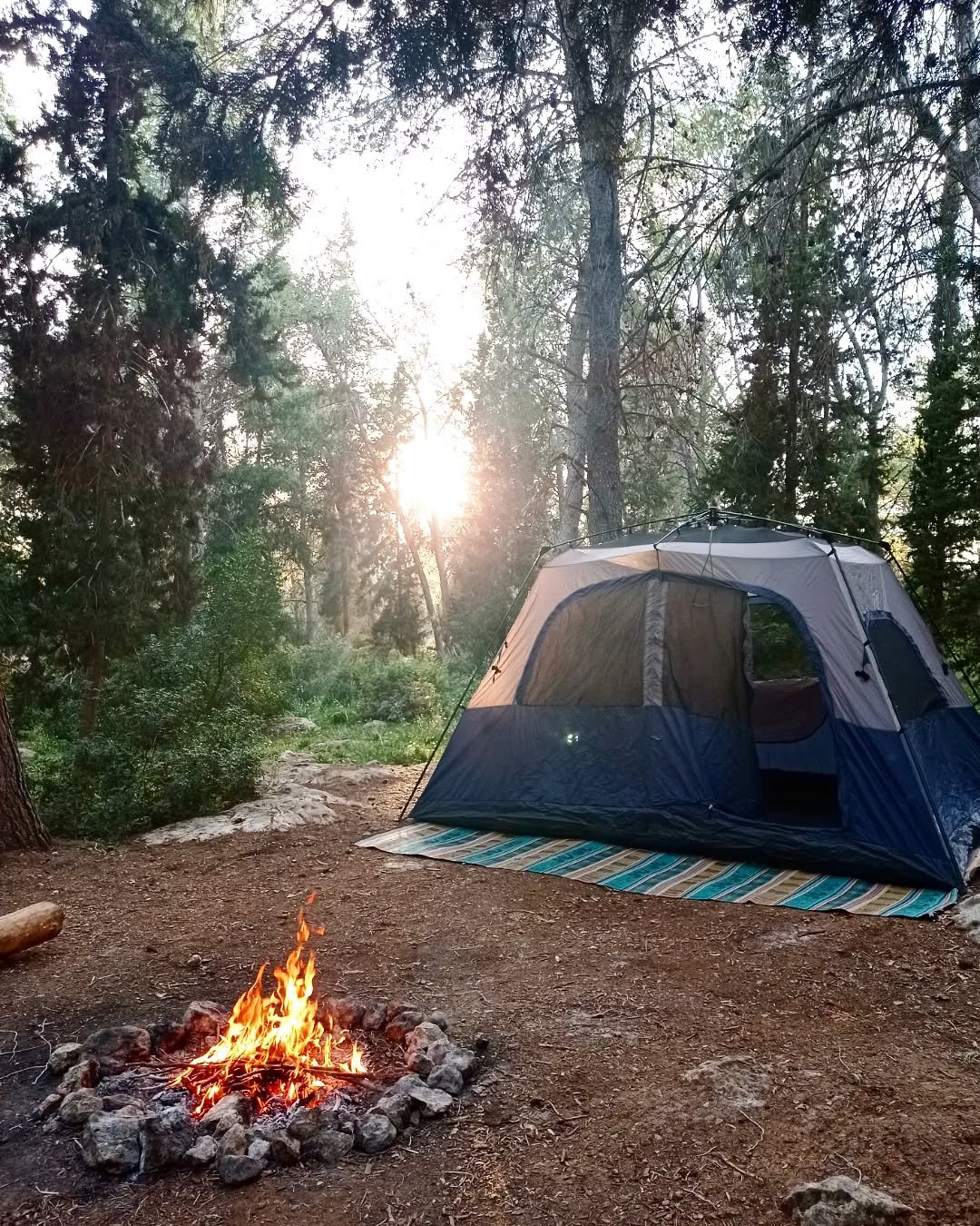 campfire and tent in the forest