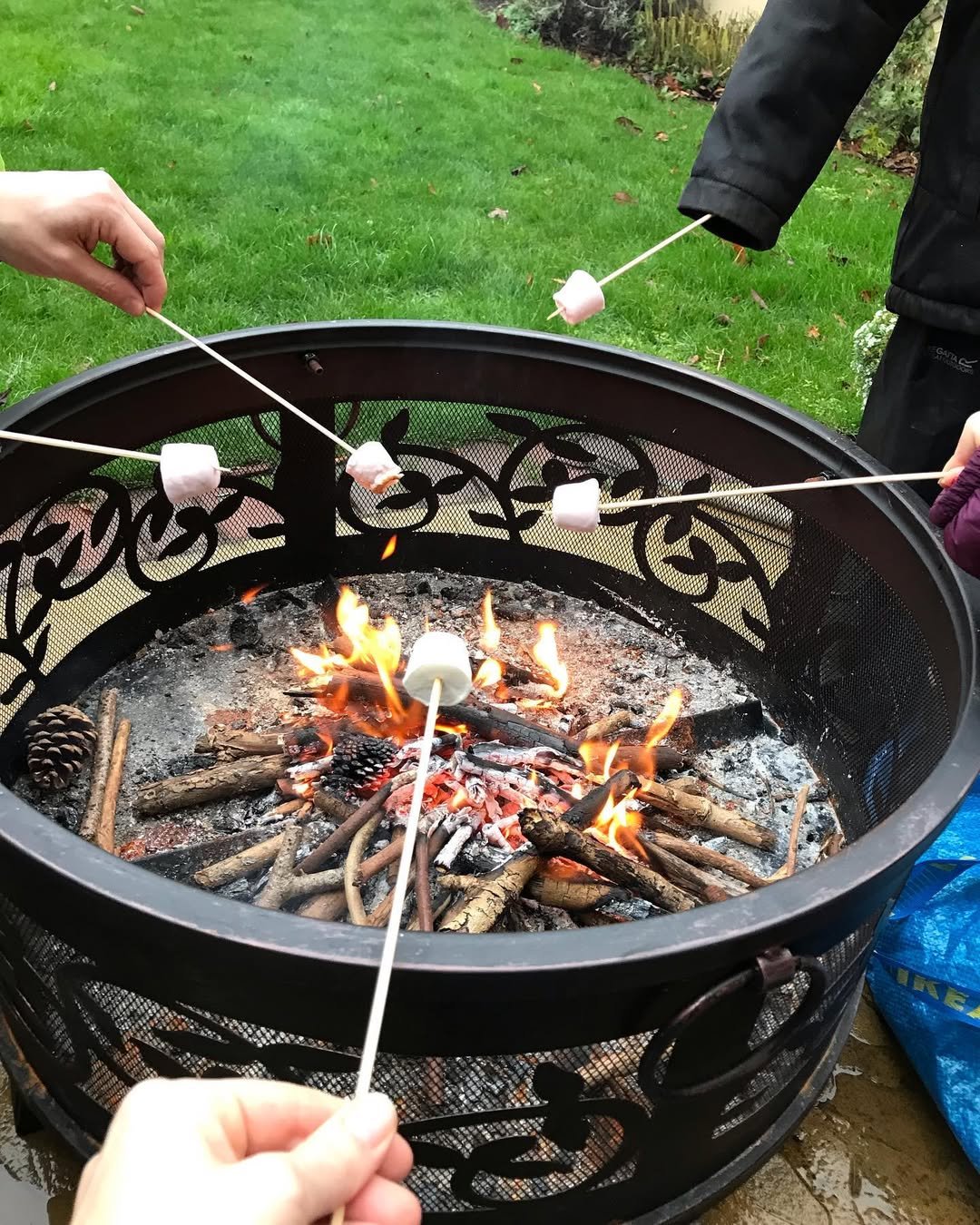 cooking in campfire
