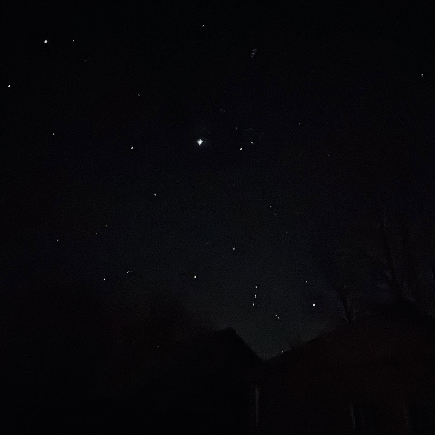 stargazing at night