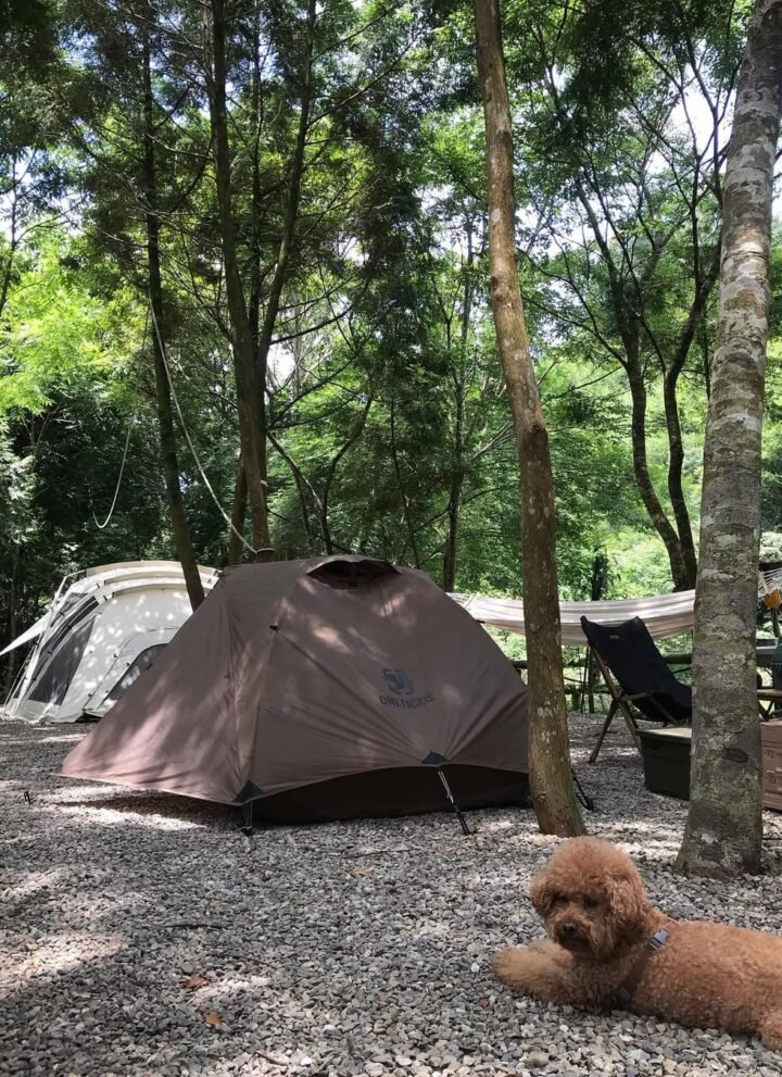 camping in the summer