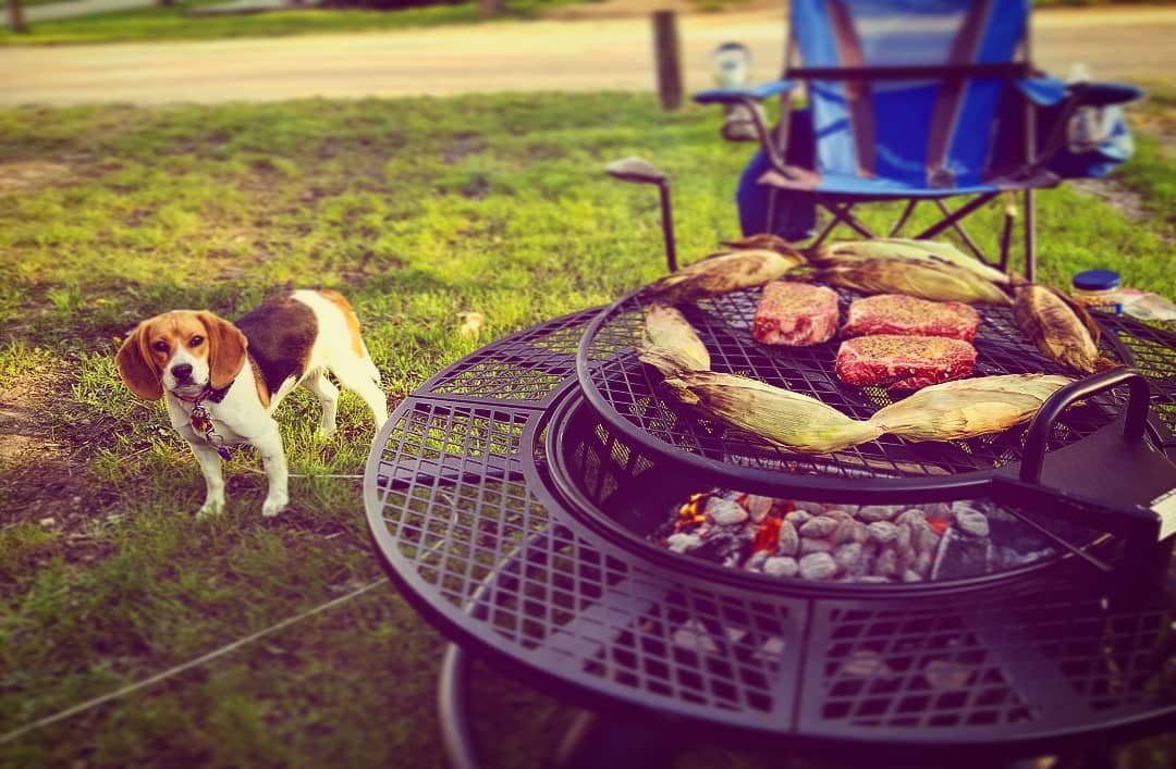 steaks and corn getting grilled