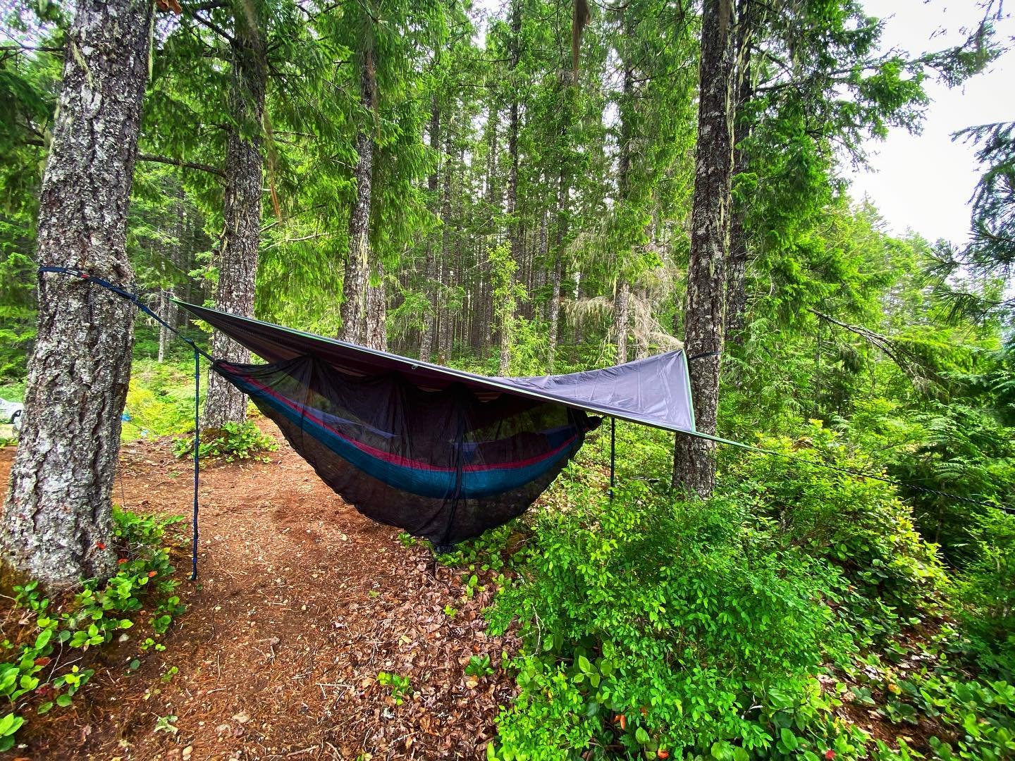 hammock camping