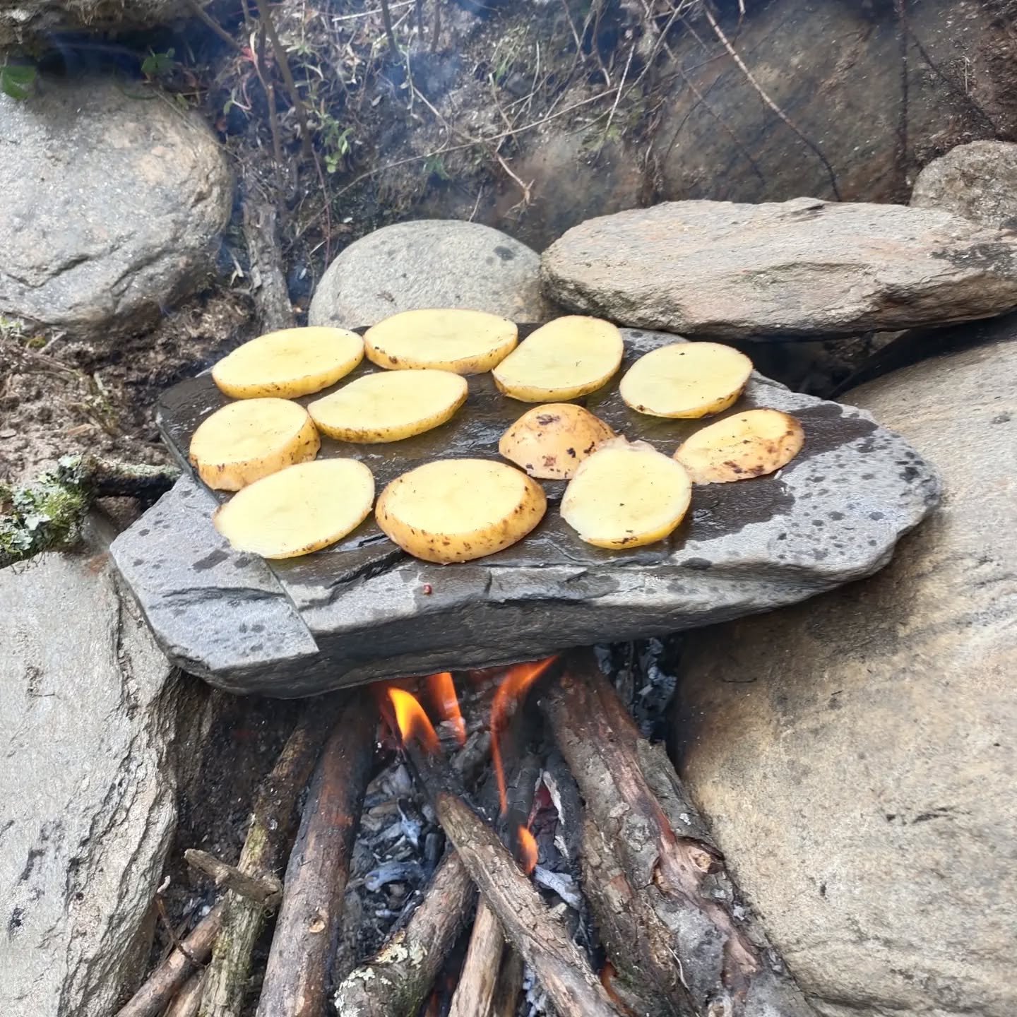 potato cooking in wild