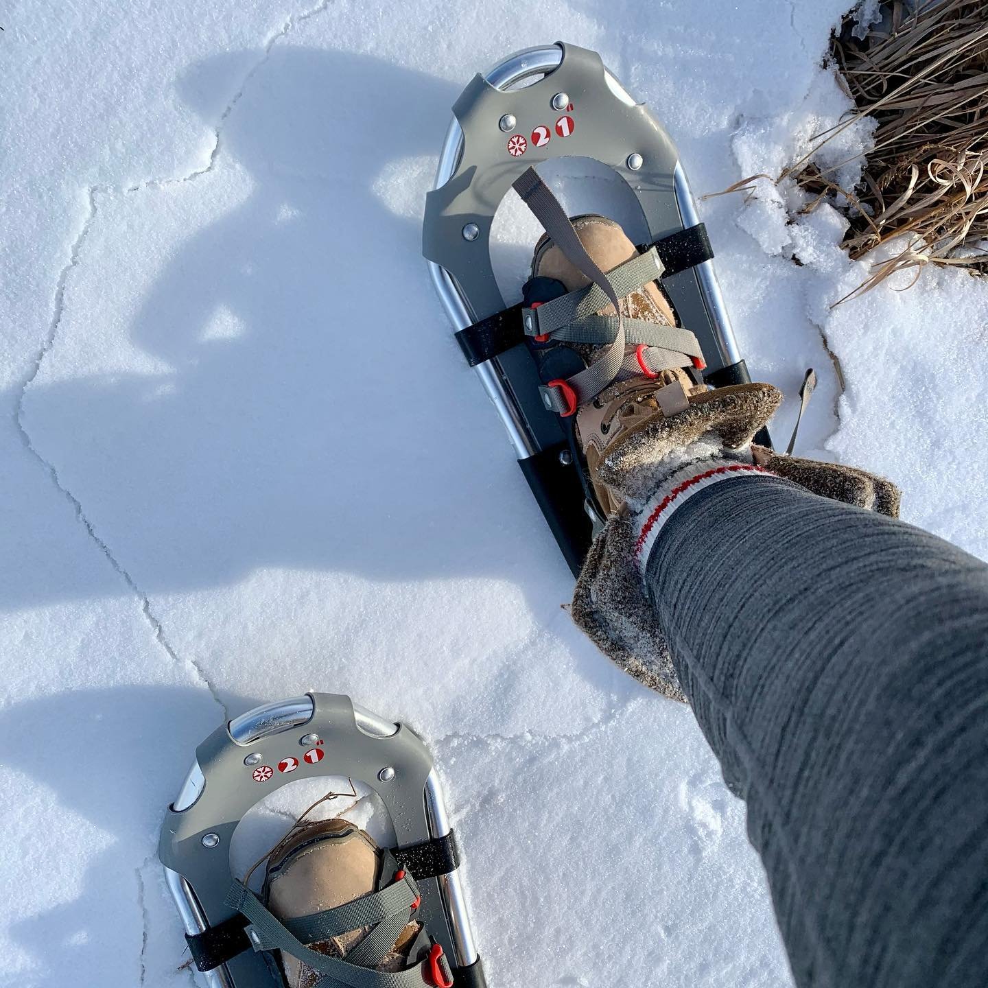 enjoying Snowshoeing while camping