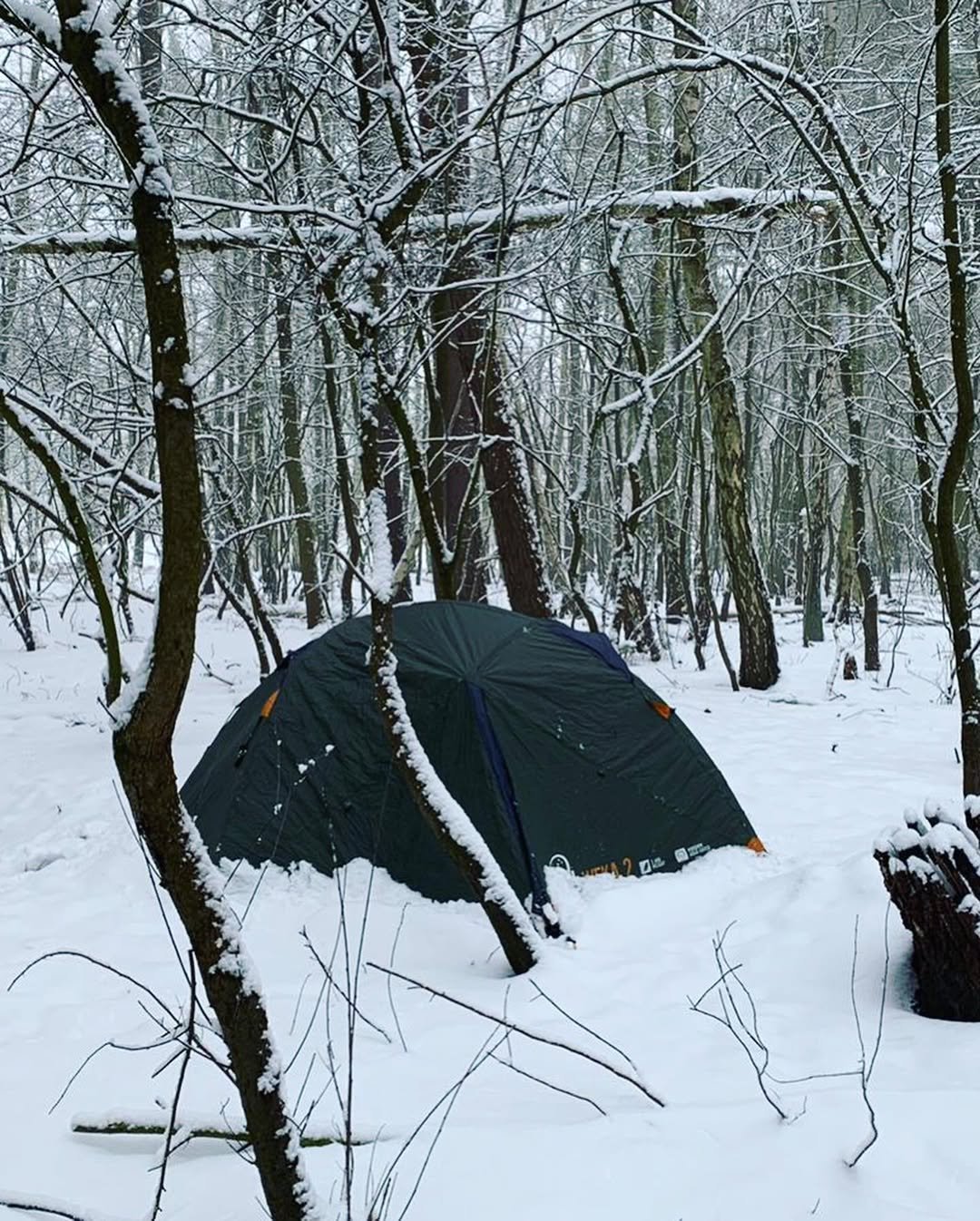 tent camping in woods in winter