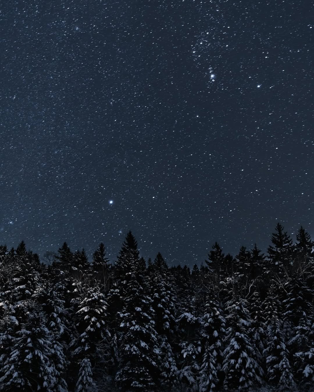 winter Stargazing