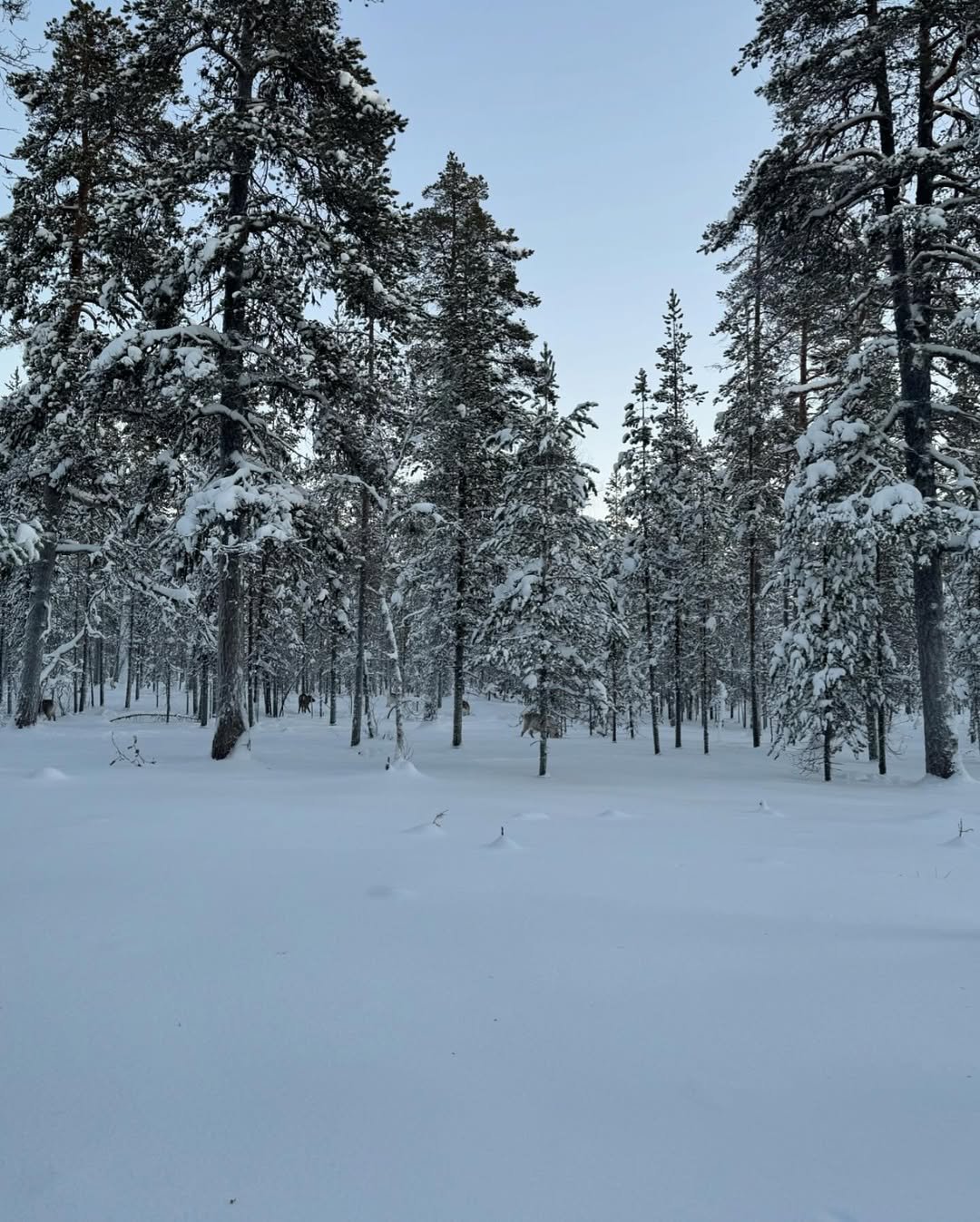 winter camping memories