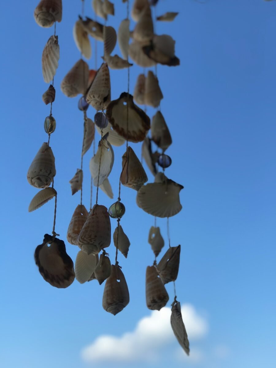 Wind Chimes of seashell and bottle caps