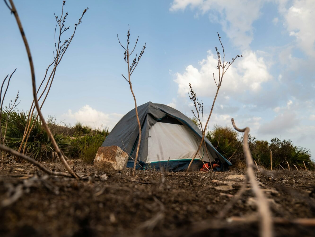 camping on the open space