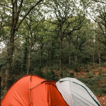 two tents in the woods