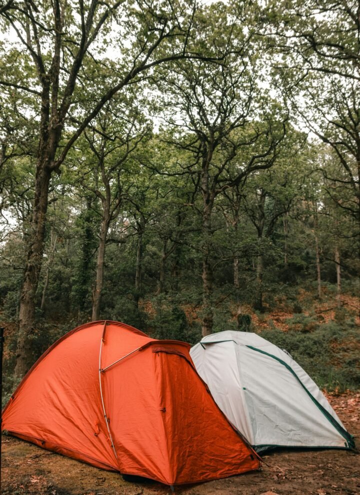 two tents in the woods