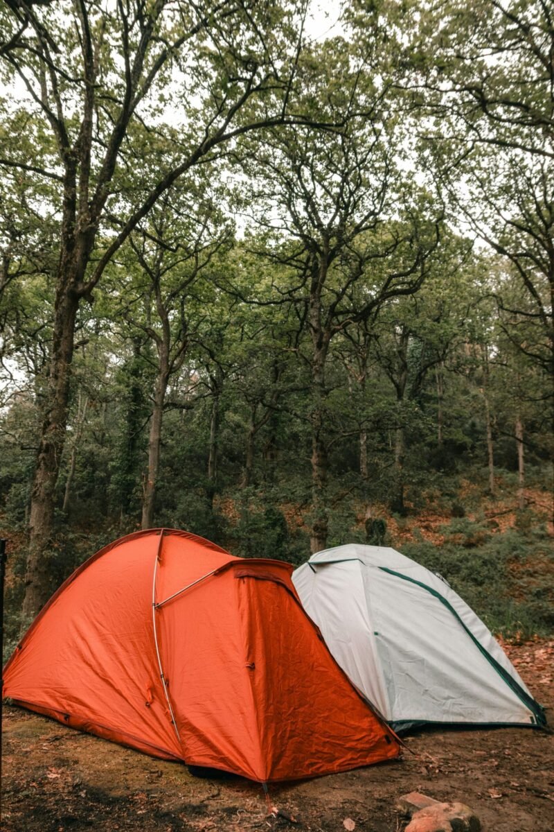 two tents in the woods